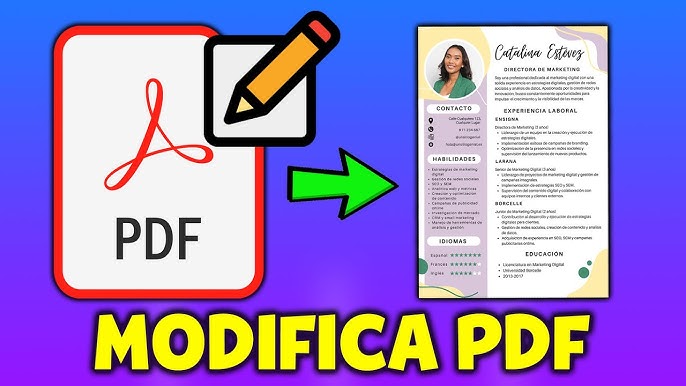 MODIFICAR CURRICULUM