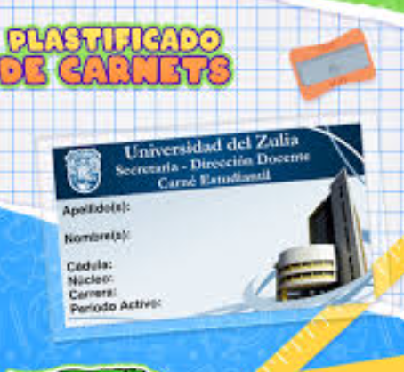CARNET PLASTIFICACION